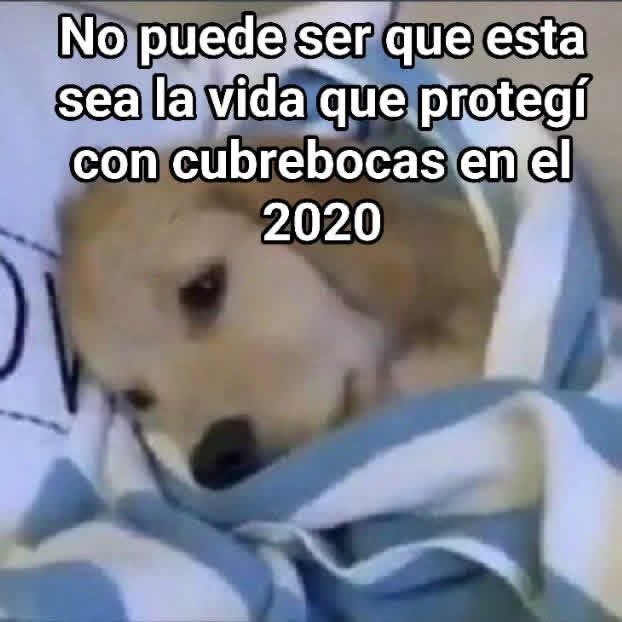 Salvador Iglesias Jr (@javisness) on Twitter photo 