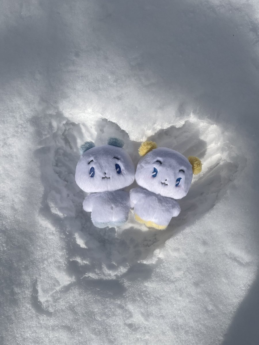 모카☕️ tweet media