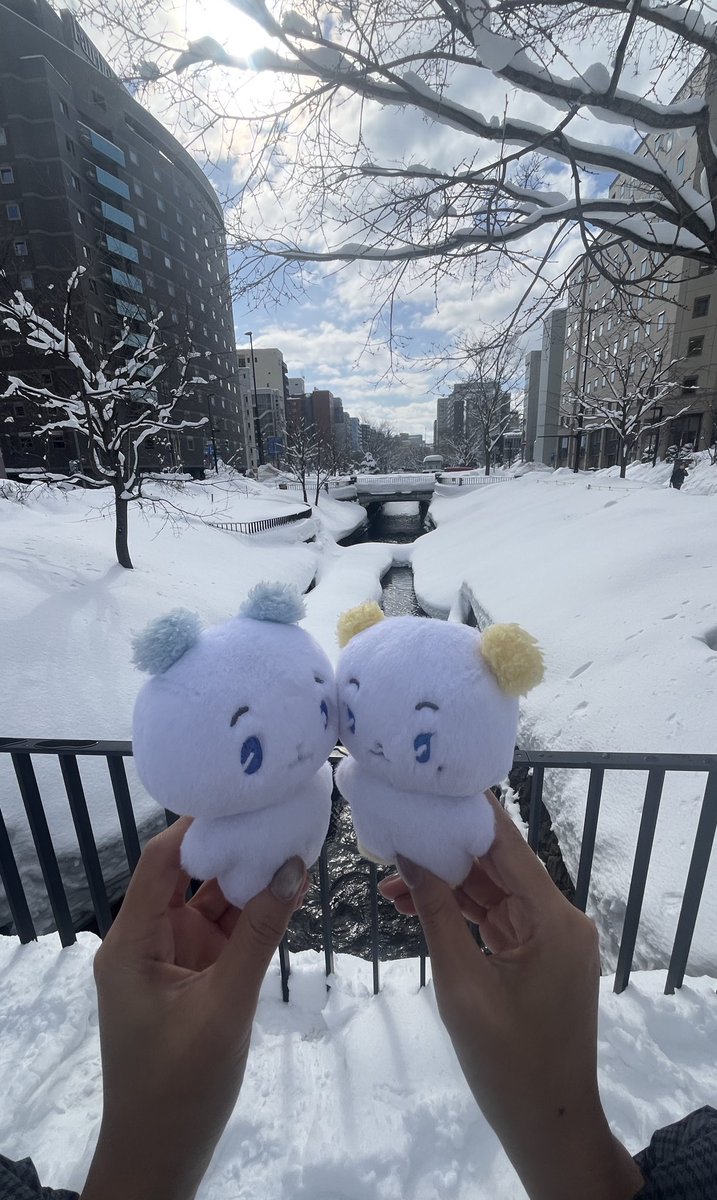 모카☕️ tweet media