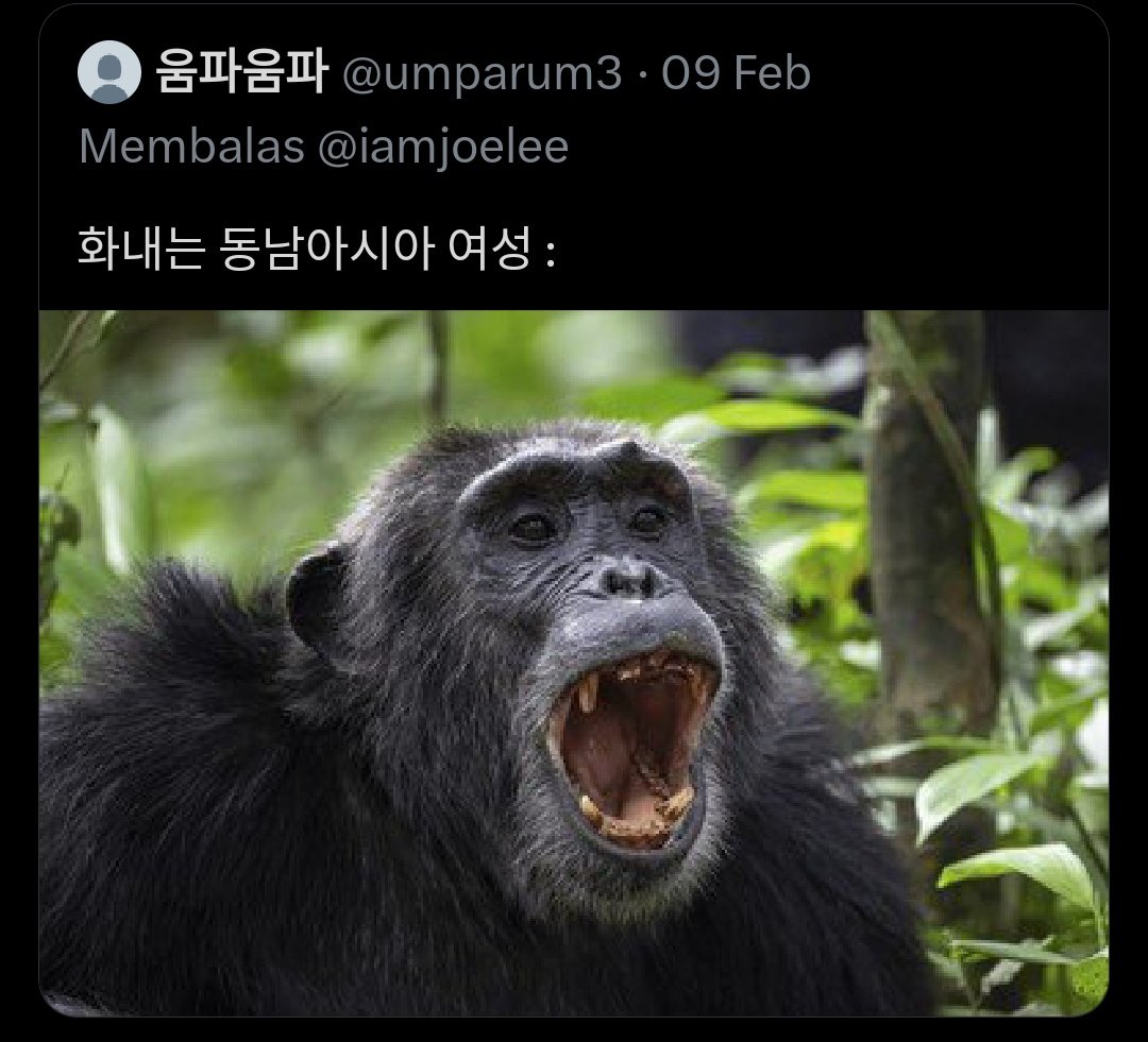 _planacardiaa's tweet photo. @foreverynyon @MNdyaa7 @blueandbluean hey look at this, this is the beginning of the problem. koreans who started insulting southeast asia like monkeys, they are very racist and it makes us angry https://t.co/0HhanKsx5i