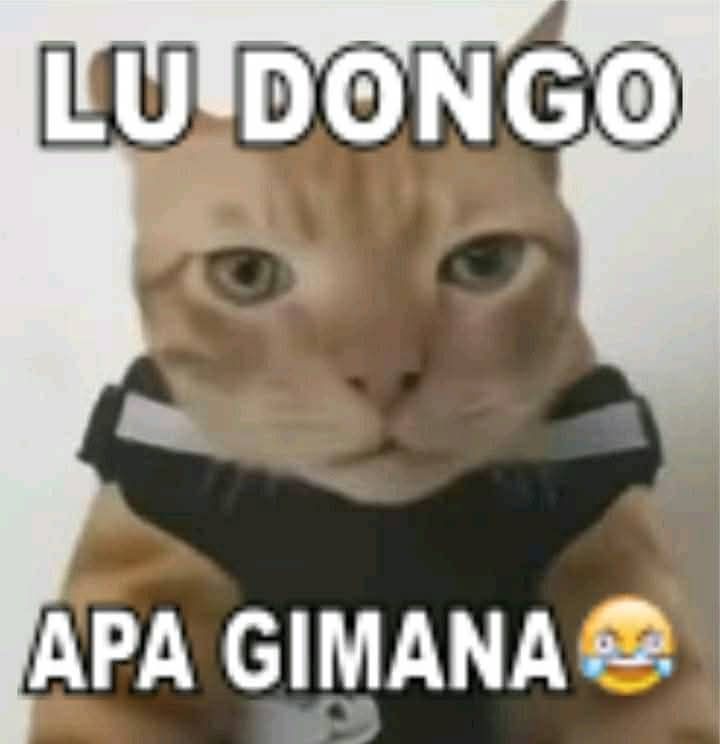 ekeonholic's tweet photo. @Agarii88 orang korea dongo bat si https://t.co/2V0BfCREOm