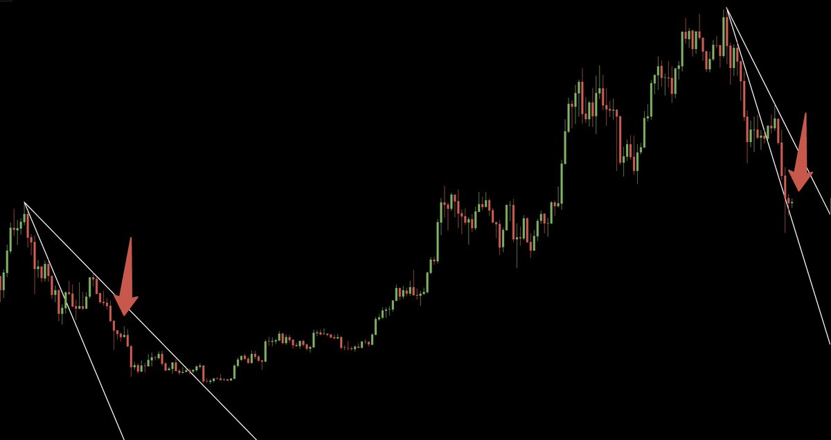 Jason Pizzino 🌞 tweet media