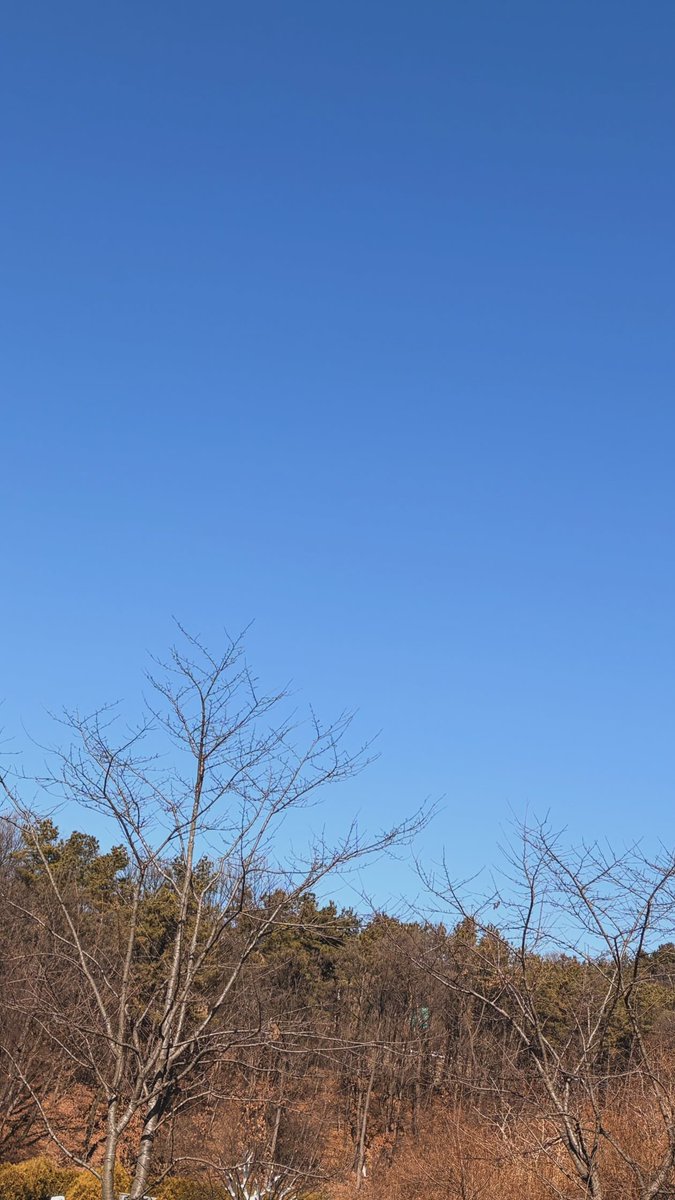 [📸] 260217 MOONSTAGRAM STORY UPDATES 

#MOONBYUL #문별