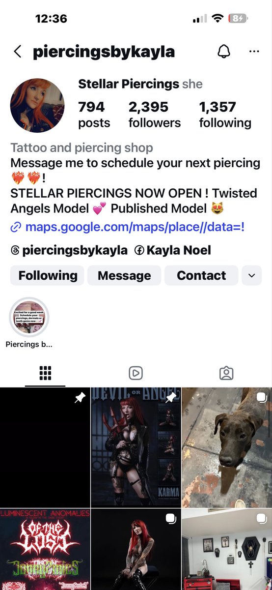 Lover of Animals tweet media