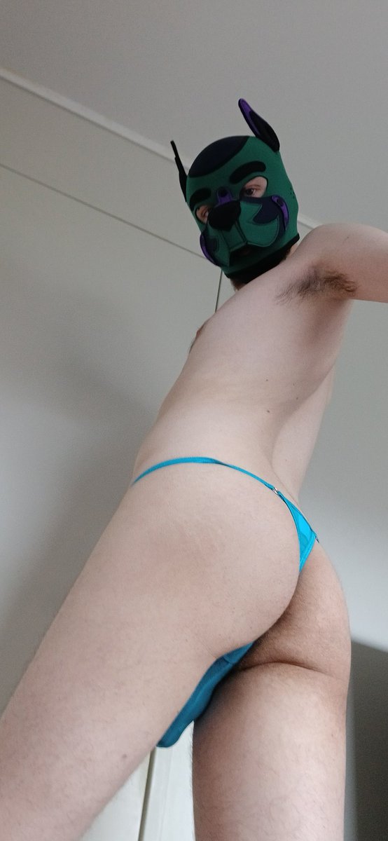 Well whatcha doing down there?  There are things to attend to

#gay #gaynz #gaynsfw  #bottom #twink #femboy #femboycock #cock #gaypup #underwear #jockstrap