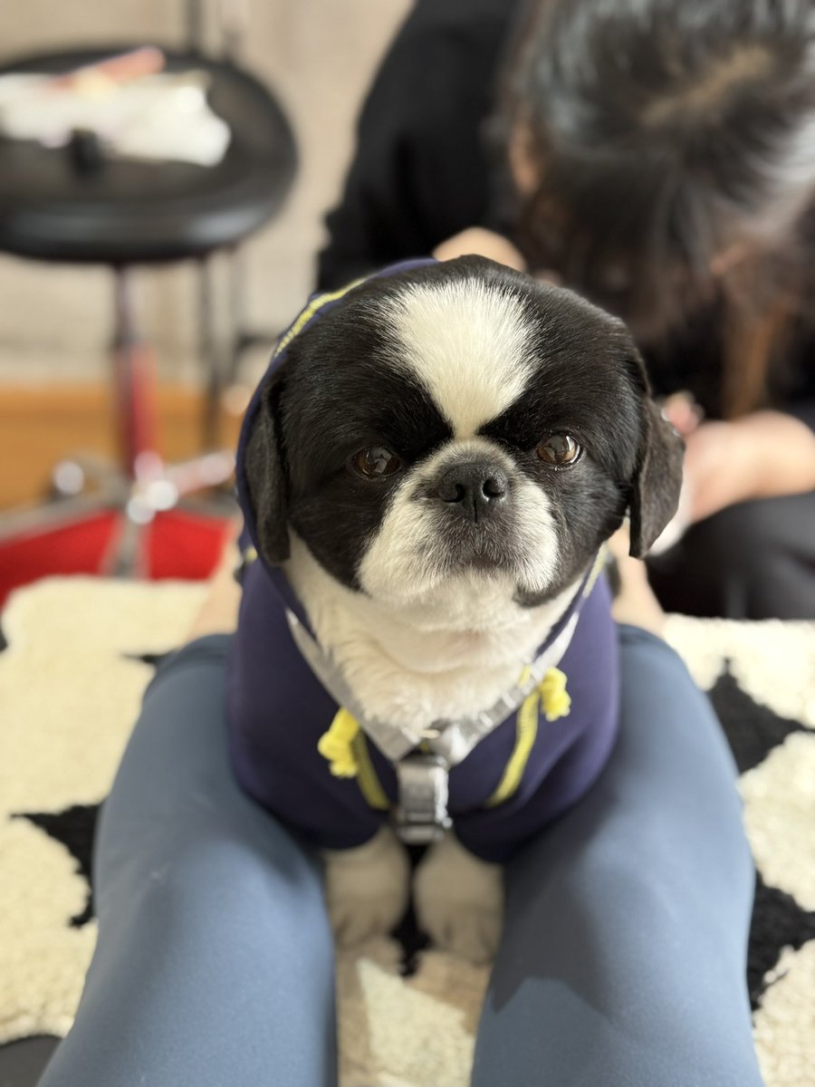 Yu Kawakami (Shizuku Morino)