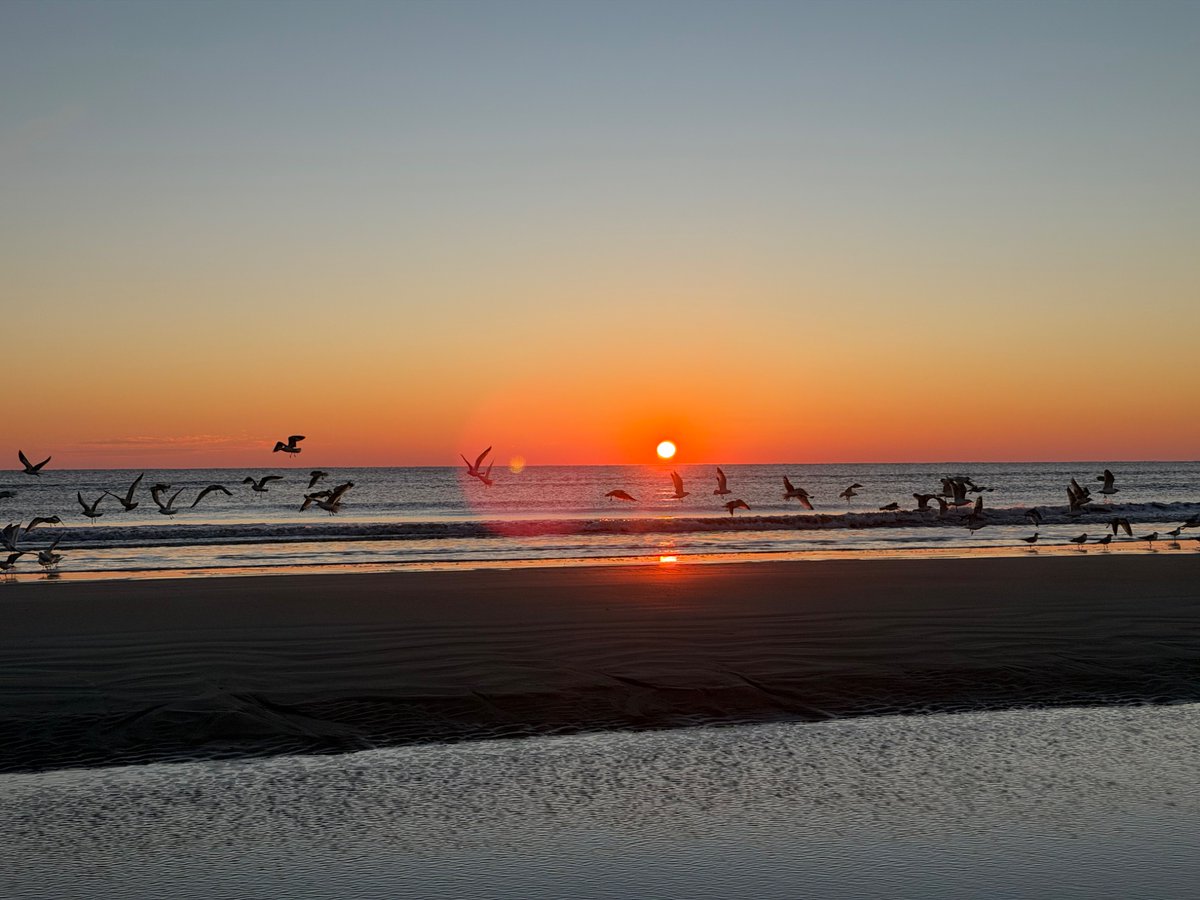 Bryan Schroeder tweet media