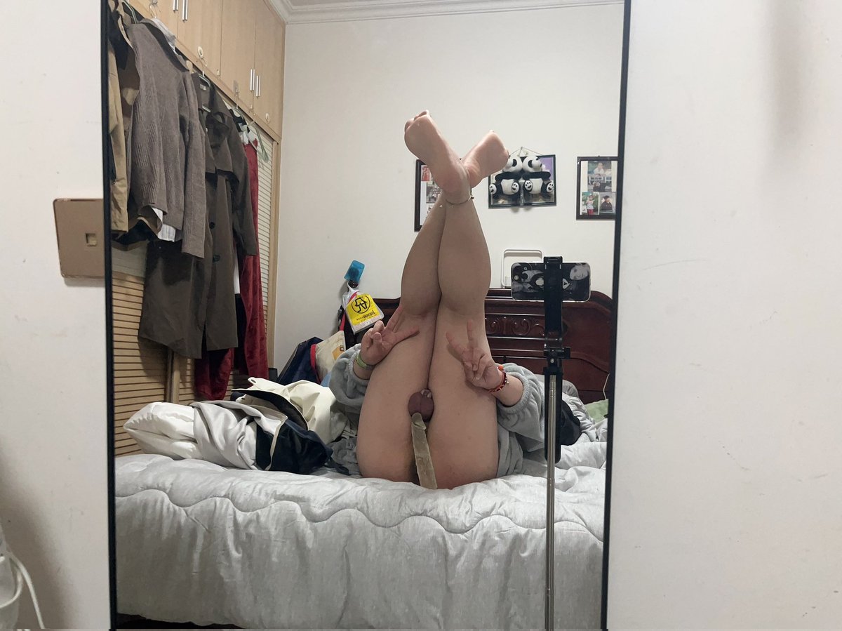 Star studio的Rabbit tweet media