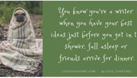 Good Morning #5amwritersclub 

Why is that?
I have a waterproof recorder
but that just captures the seed of an idea
no time to flesh it out

#amwriting #writer #5amwritersclub #WritingCommunity #WritersCafe #author #AuthorLife #authorconfession #readingcommunity #booktwitter