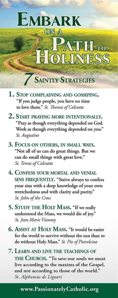 That Catholic Guy 🇻🇦 tweet media