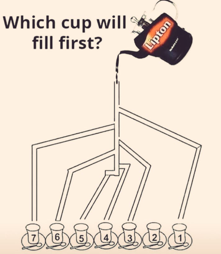 Which Cup Will Fill First???