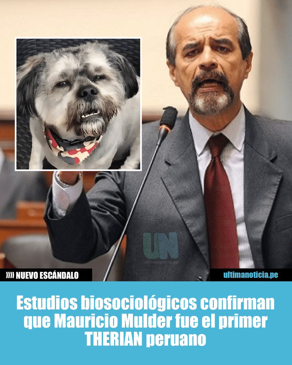 ¡Quién te conoce Tigresa del Oriente! ¡Quién eres tú, Pollo de Píos Chicken! ¡Más allá oe Timoteo, dragón de cuarta!