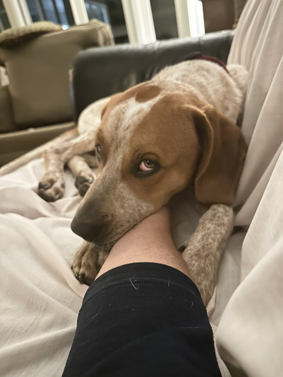 Jay Clune tweet media