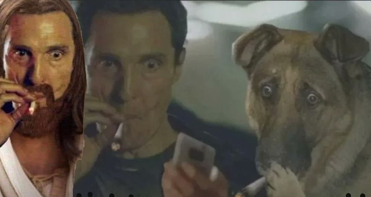 Swamp 2 Pond tweet media