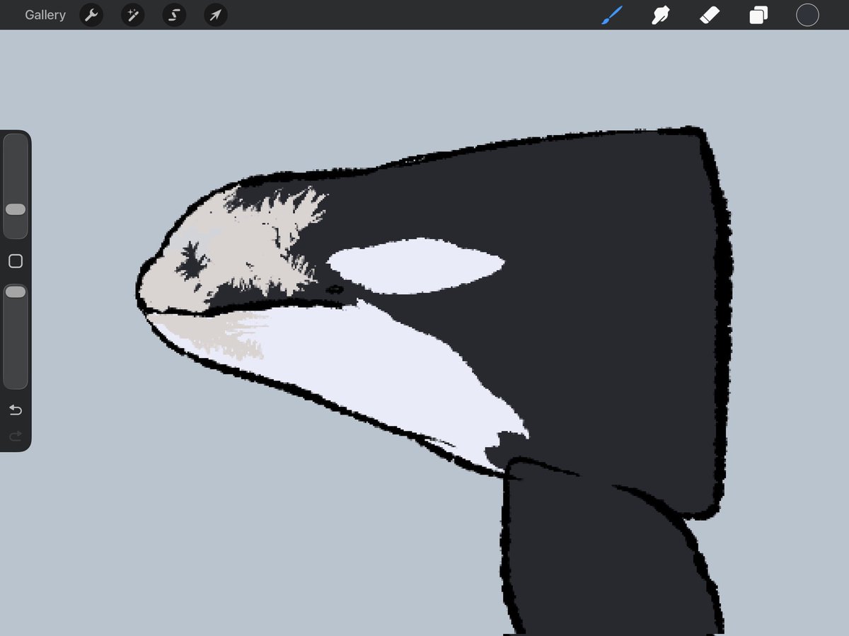 orlando ⚢ 🐬 🇵🇸 🔻🌺 tweet media