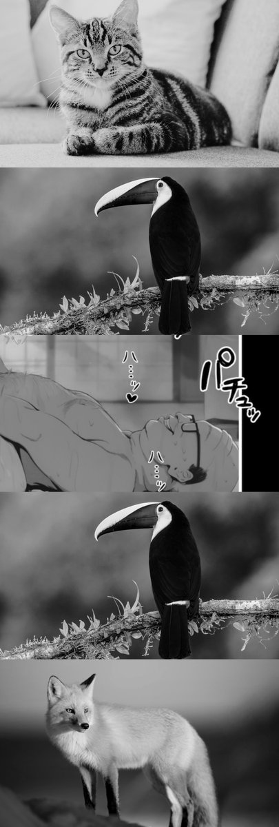 maufinXxX's tweet photo. (1/9) SFW https://t.co/o2JWEtPgnY