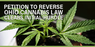 Riley Clark tweet media