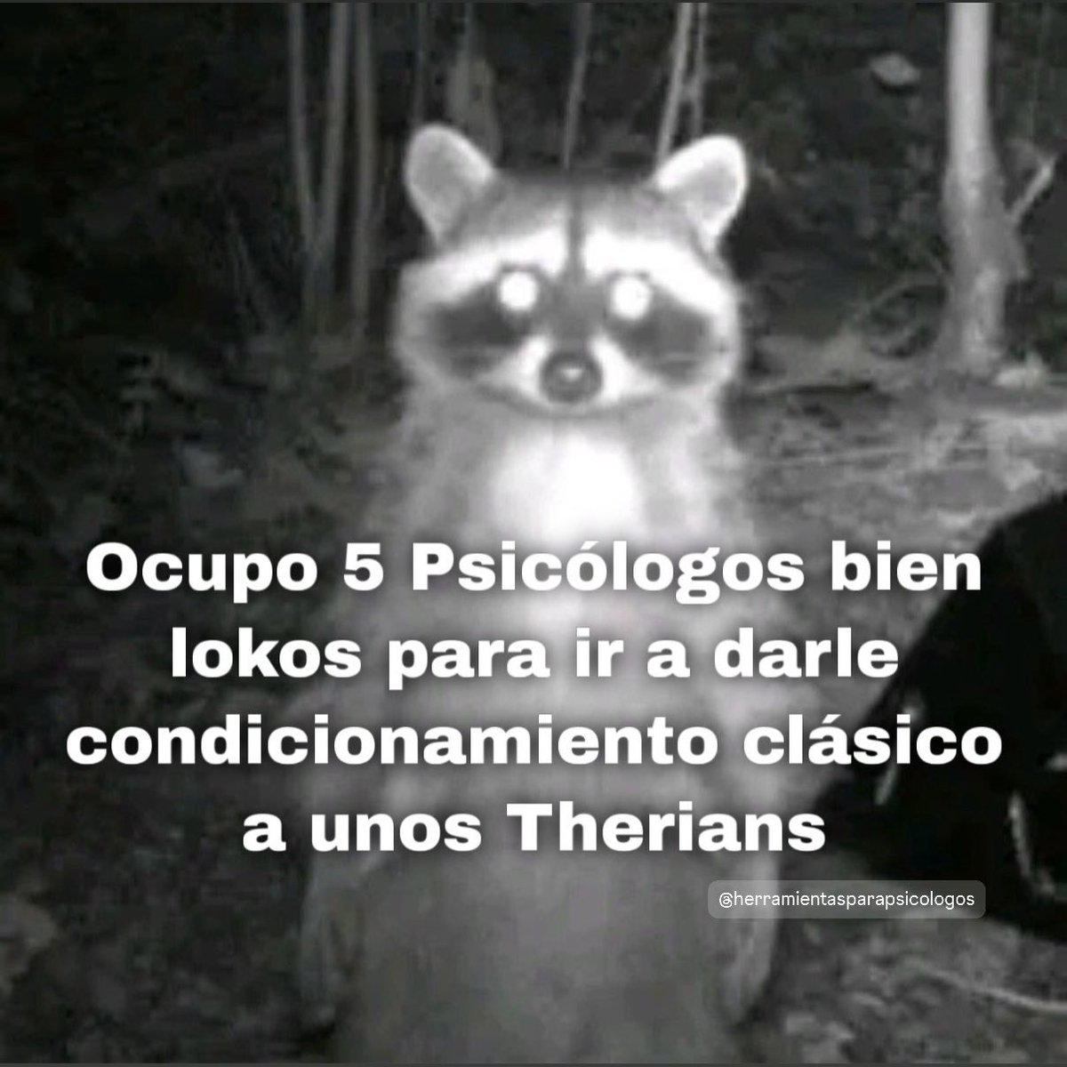 Psic. Diego Vidal tweet media