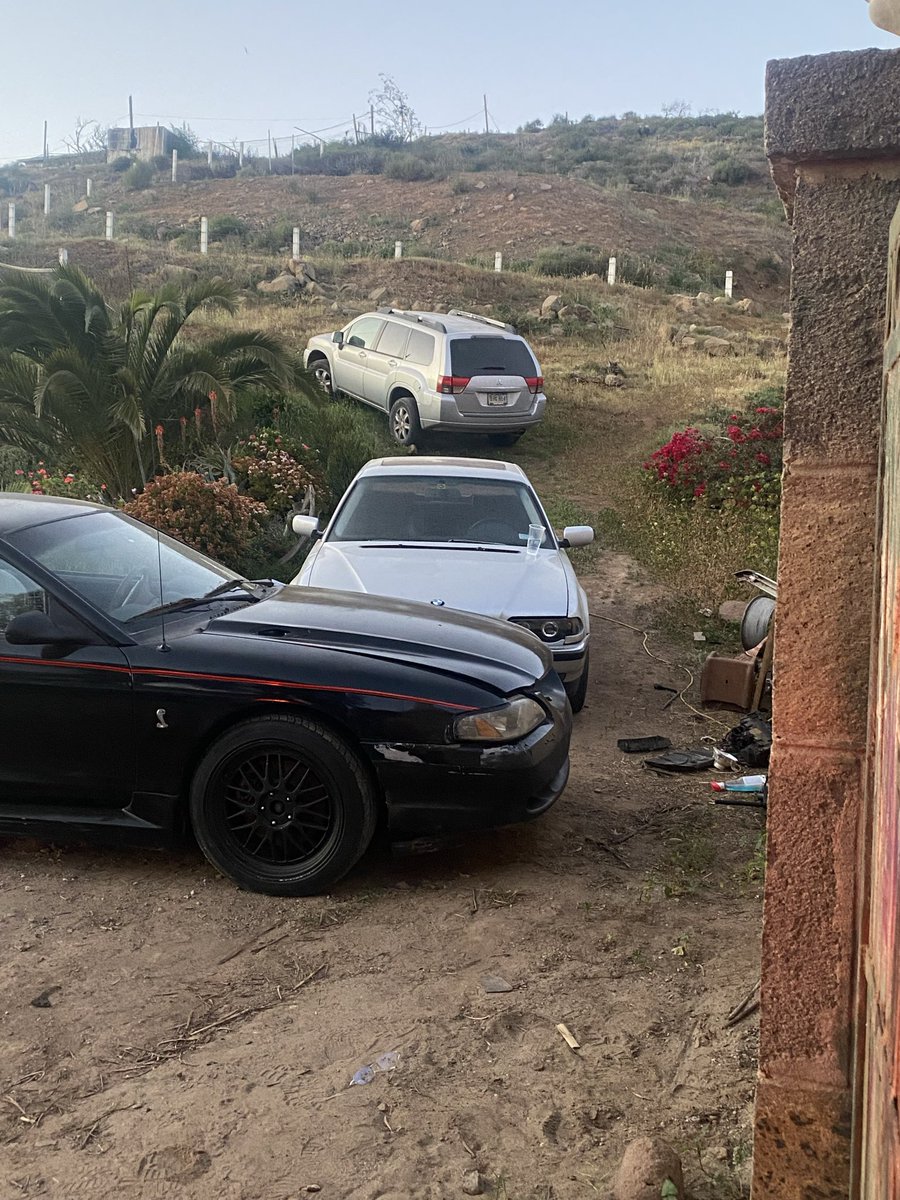 siterata. tweet media