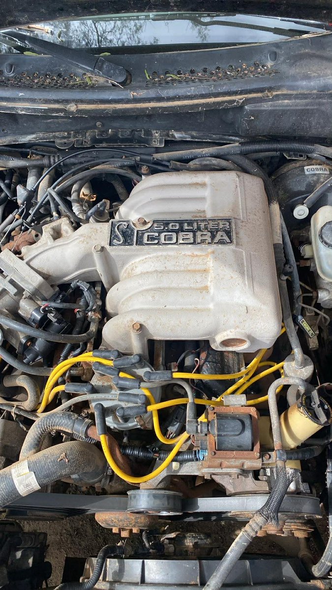 siterata. tweet media