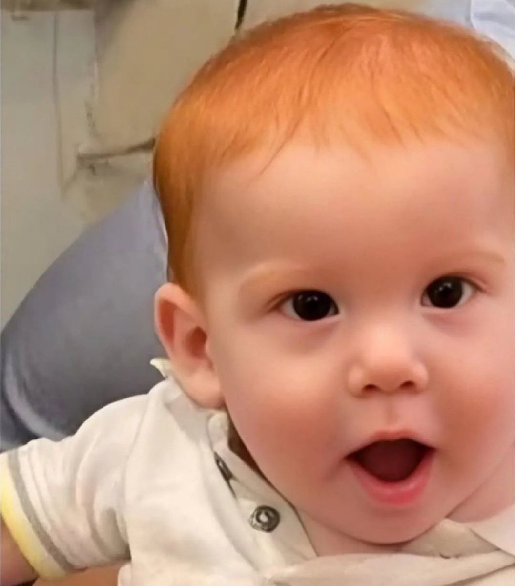 Liza Rosen tweet media