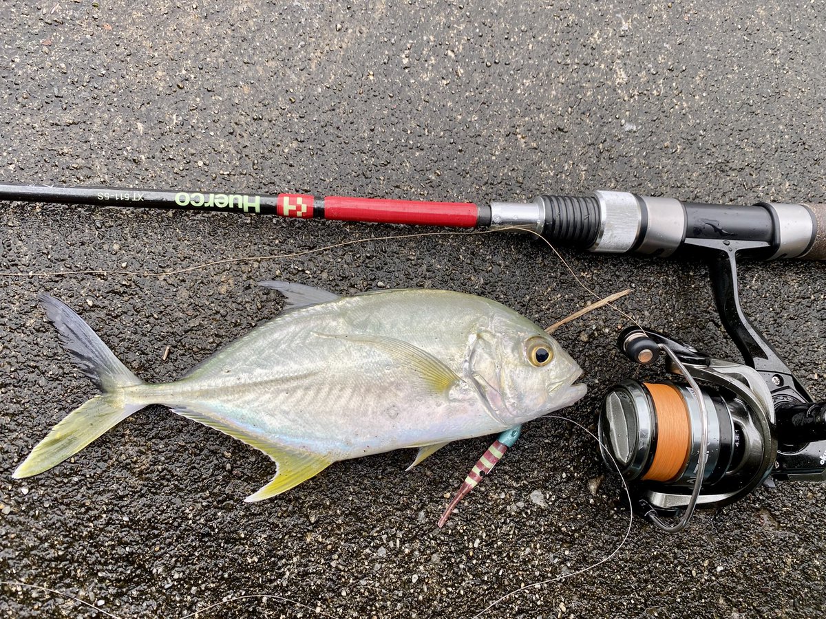 そういえば去年のフエルコのイベントガチャで当たったオクマのリール、あれからずっと普通に使ってる🎣