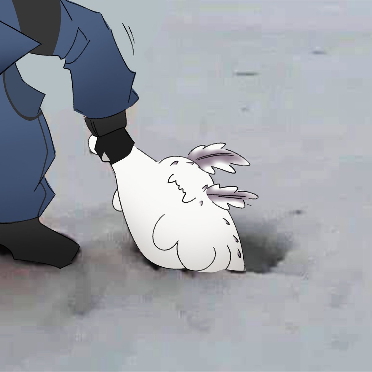 ︎ ︎Jet / Ollie tweet media