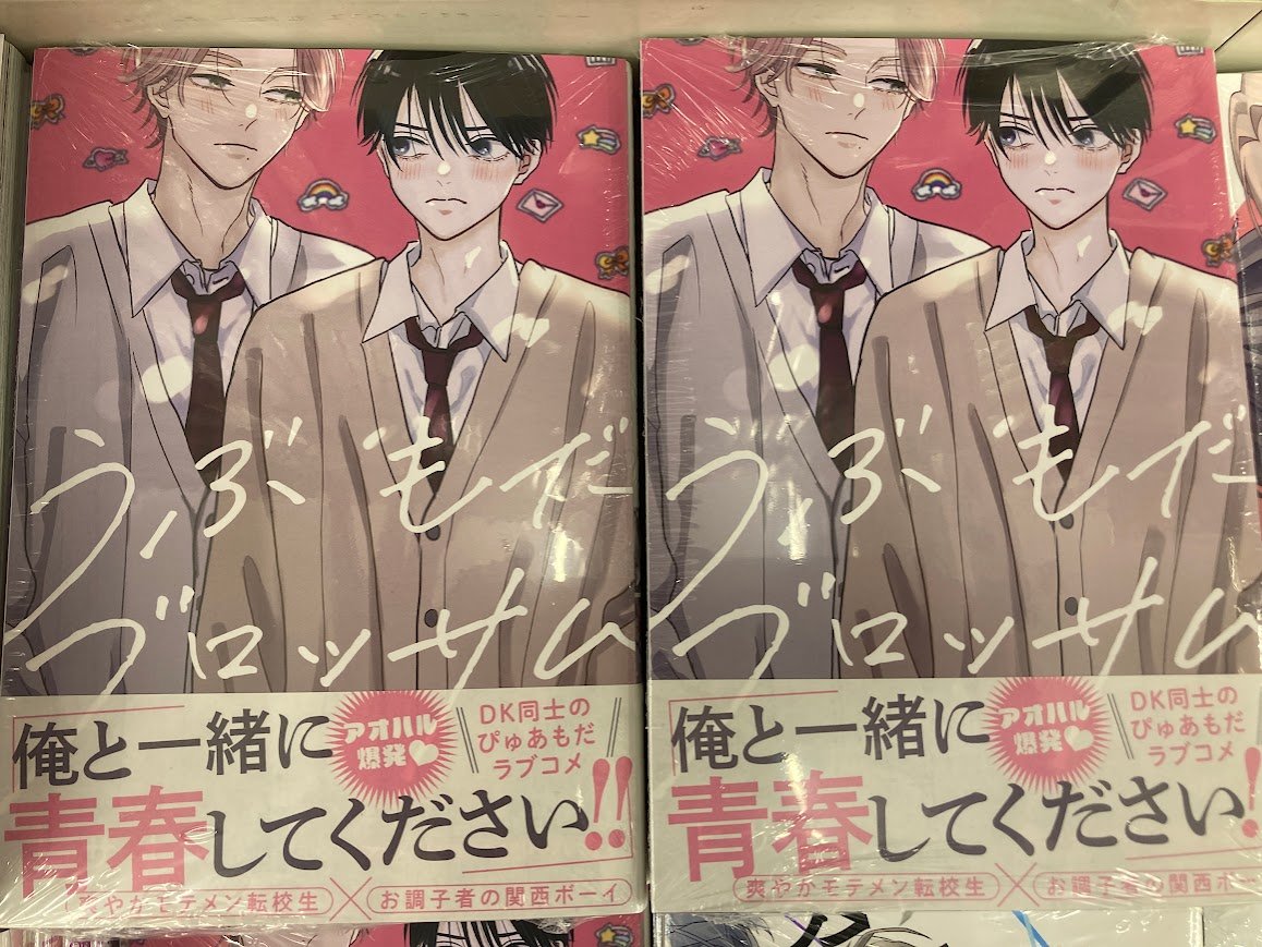 書籍新刊入荷情報】 「うぶもだブロッサム」 本日入荷したやん