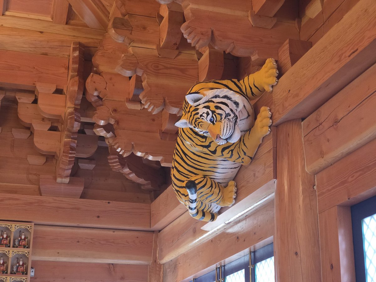 도해늘 tweet media