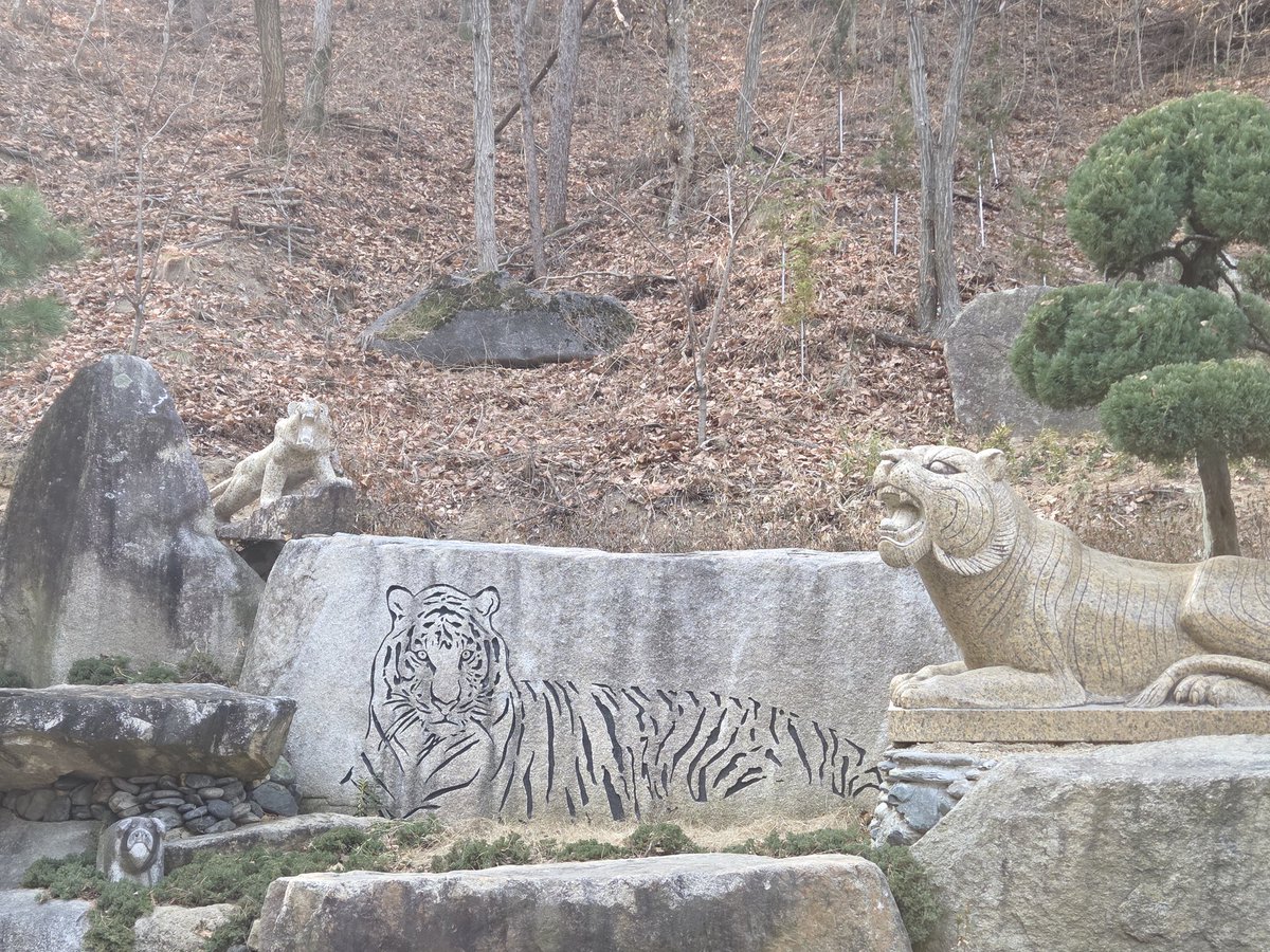 도해늘 tweet media