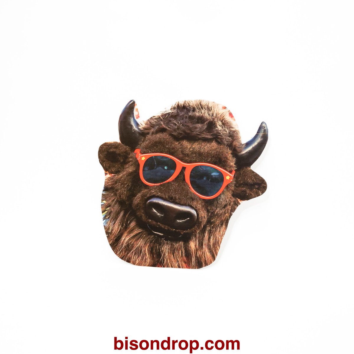 Brandon109110's tweet photo. #bisondrop how sweet would Hoosier the Bison look in the Hoosier bar? @BisonDrops https://t.co/rkrRRIDS75