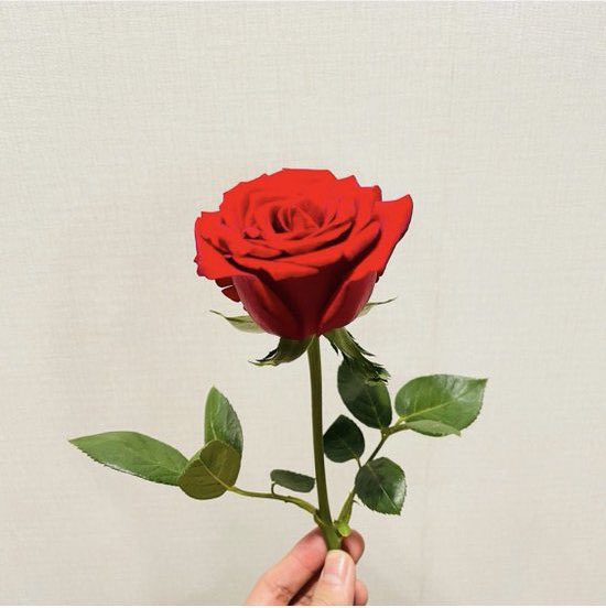 ซีกวาอุ๊ดเร้กตุ่ยเร้ก °西瓜⋆꙳ tweet media