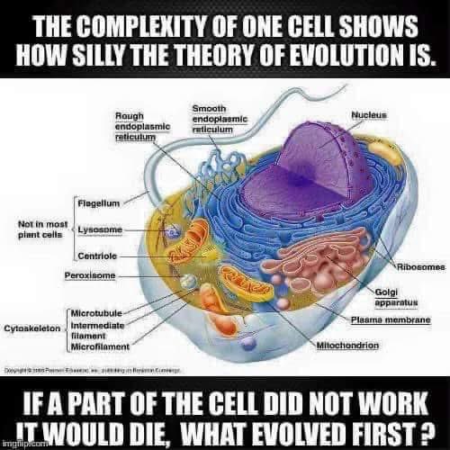 NotEvolution1's tweet photo. The living cell is irreducible https://t.co/PJmM53gx0r
