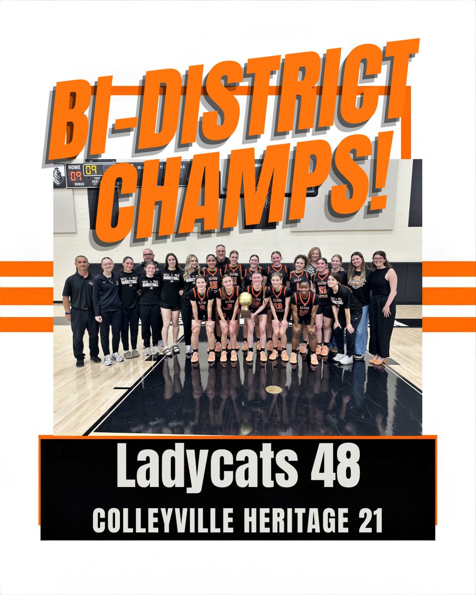 Ladycat Basketball tweet media