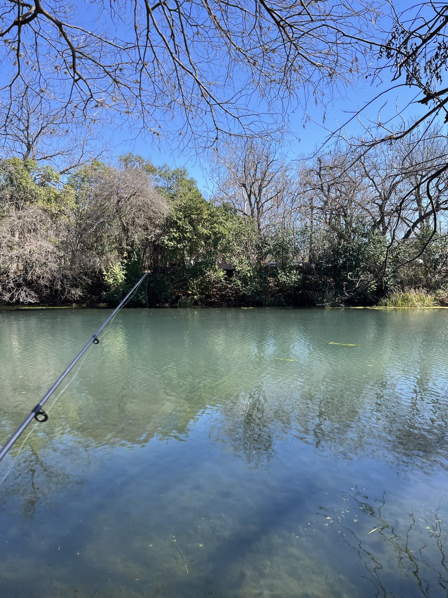 Chef Megan Tapia tweet media