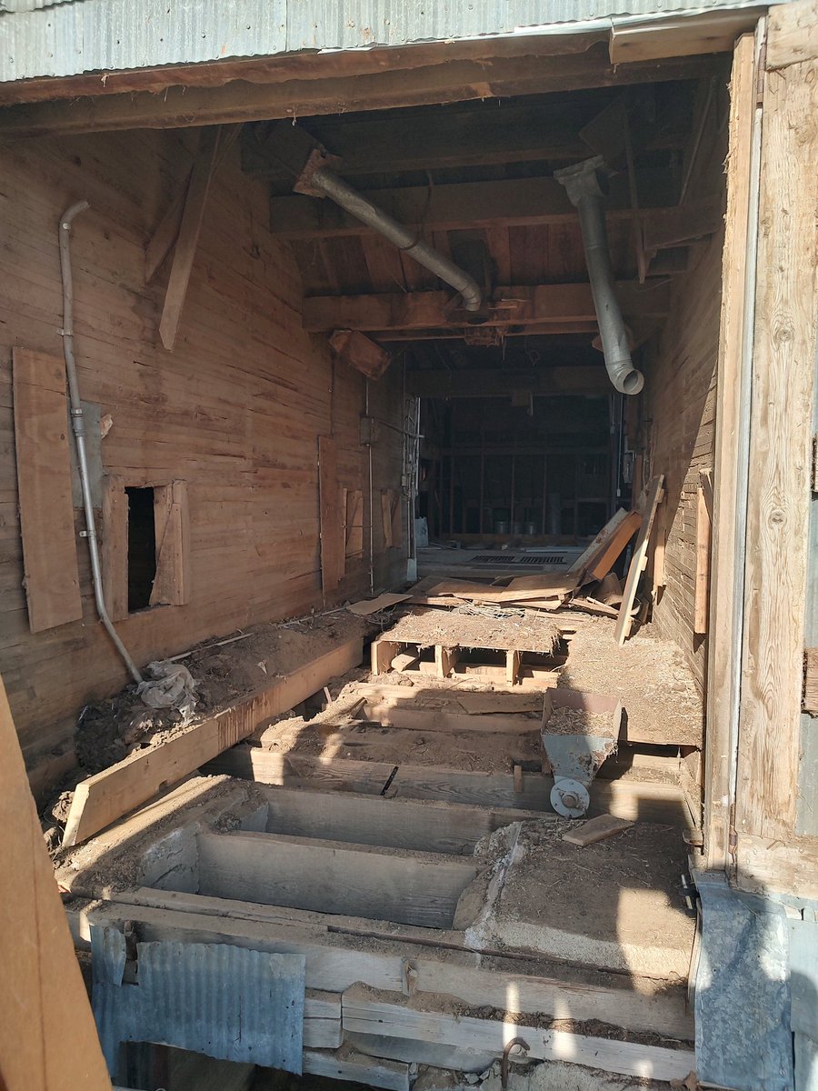 reinke_farms's tweet image. It might not matter to a bulldozer or a match but it matters to me. Saved another one today. More amazing was sharing time with the man that put this cleaner in here. Was great listening to Joe's memories and reminiscing. #rye #vetch