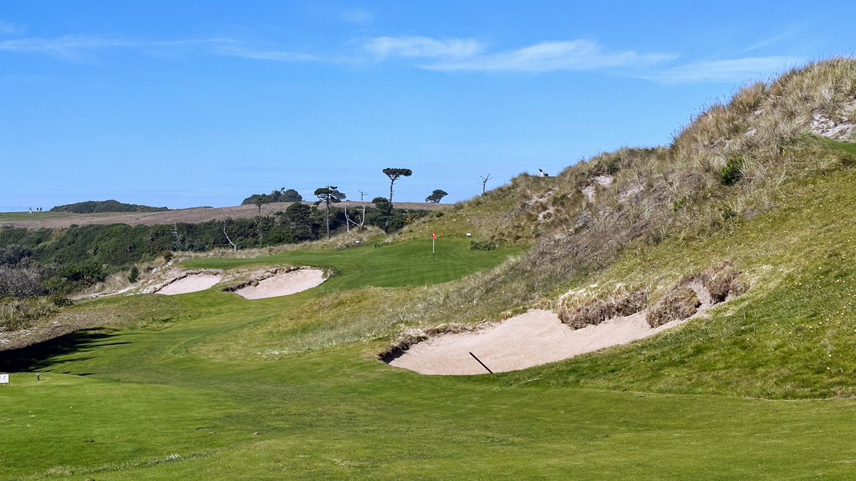 Steve M. tweet media