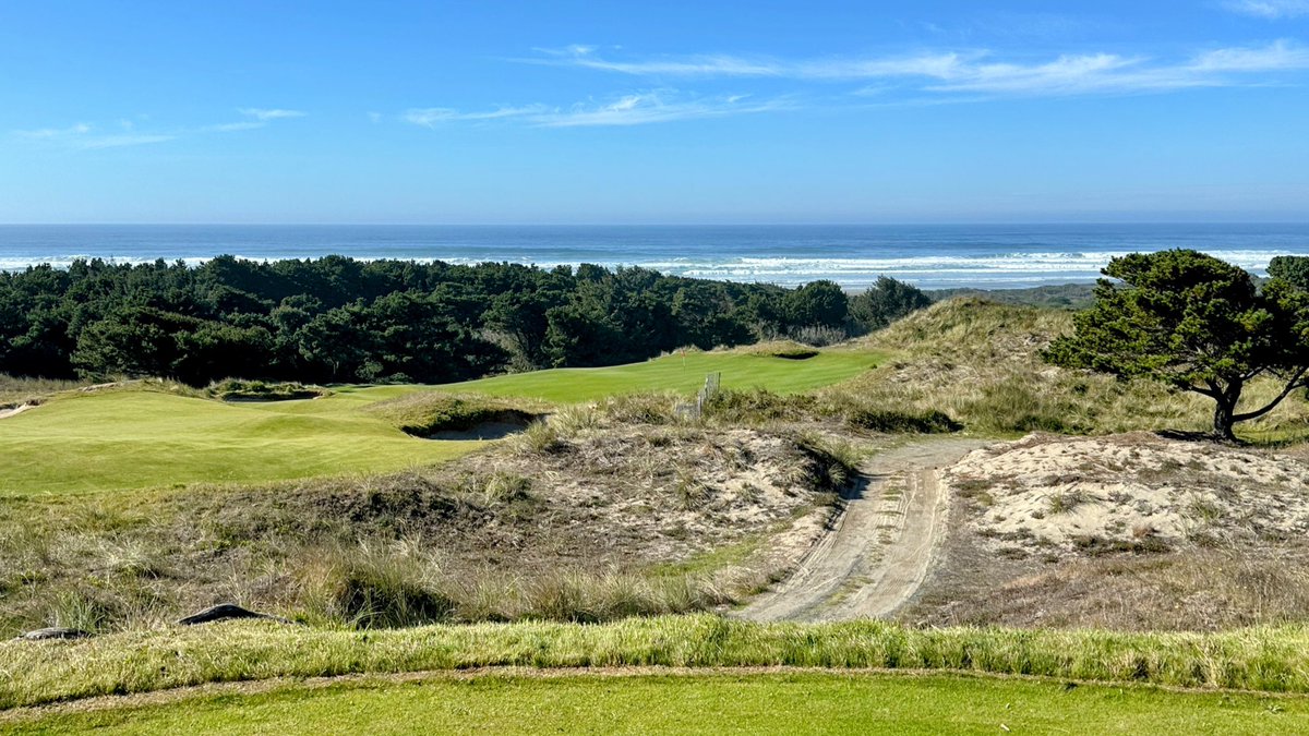 Steve M. tweet media