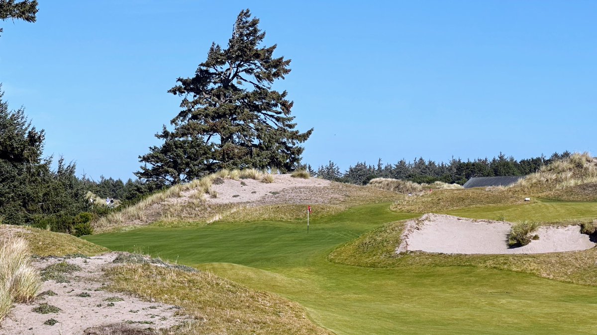 Steve M. tweet media