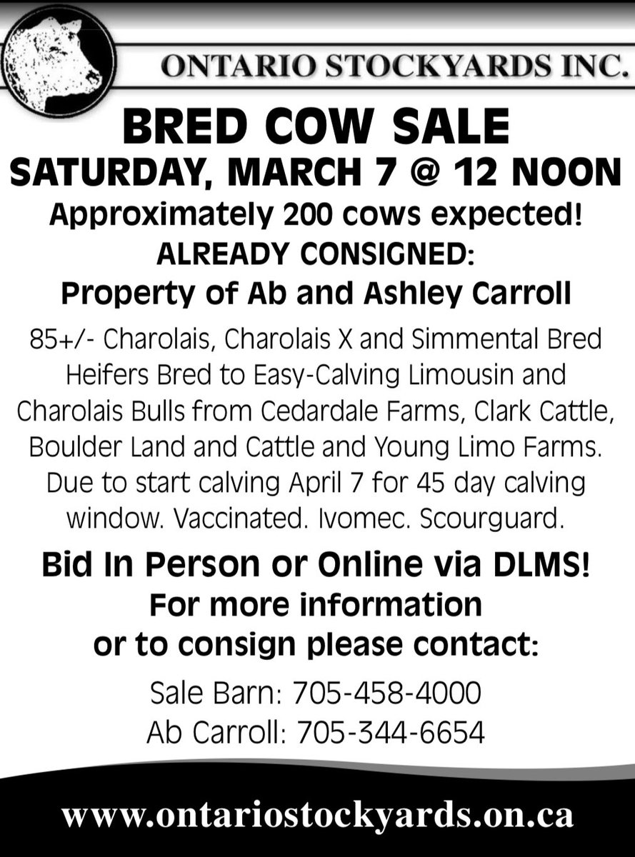 Ab Carroll tweet media