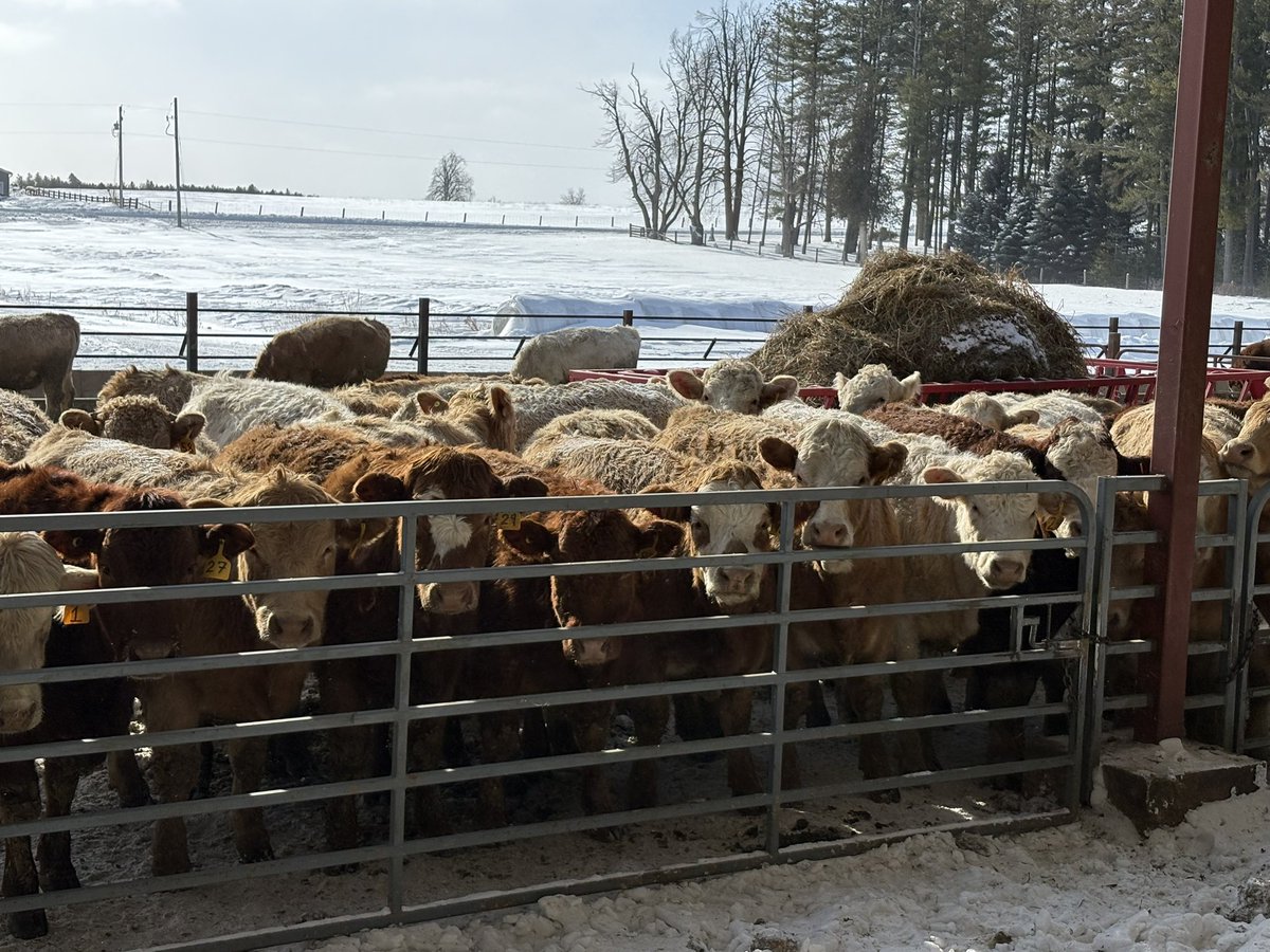 Ab Carroll tweet media