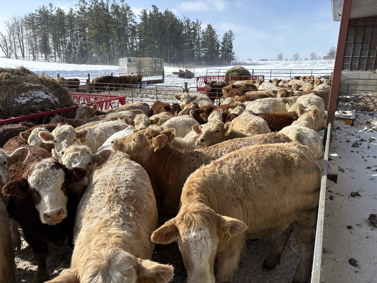 Ab Carroll tweet media