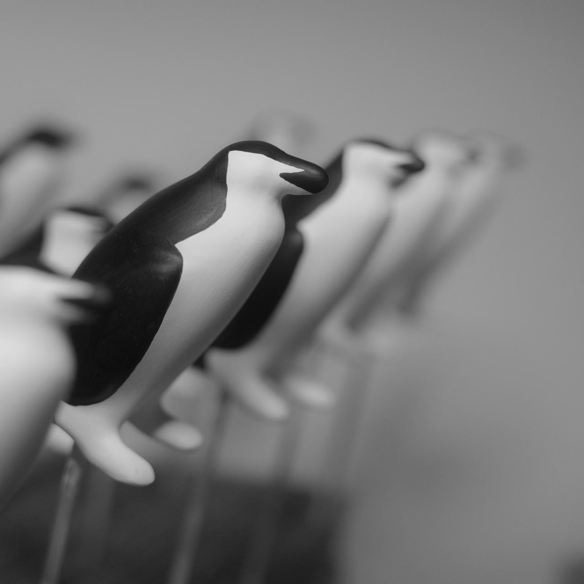 【制作日誌】
ヒゲなしヒゲちゃんズ。
あとひと息。

#ペンギン #penguin
#3dプリンター
#さっぽろペンバザ
#grsnaps