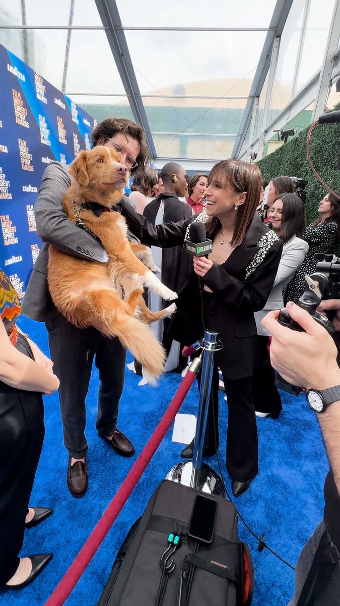 PNemiroff's tweet image. Often feel a lil out of my element on a red carpet but not yesterday thanks to my A+ Collider team, some of my all-time fav interviewees, and the fine folks running the carpet. A true joy and breeze. ❤️🎥

#spiritawards