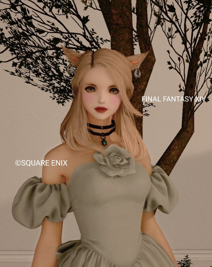 おはミコです(｡・ᴗ・)_🍵 今日も素敵な1日になりますように·͜·ᰔᩚ