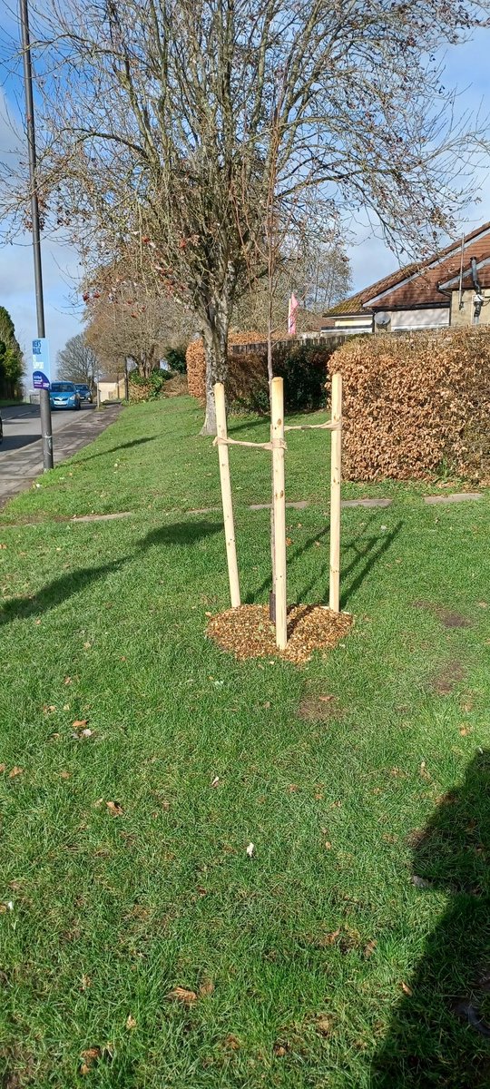 Analogue Andy tweet media