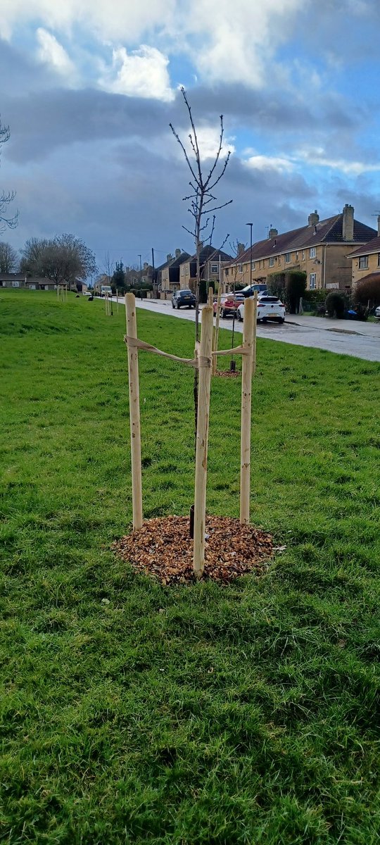 Analogue Andy tweet media