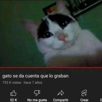 PunchingCat's tweet image. 