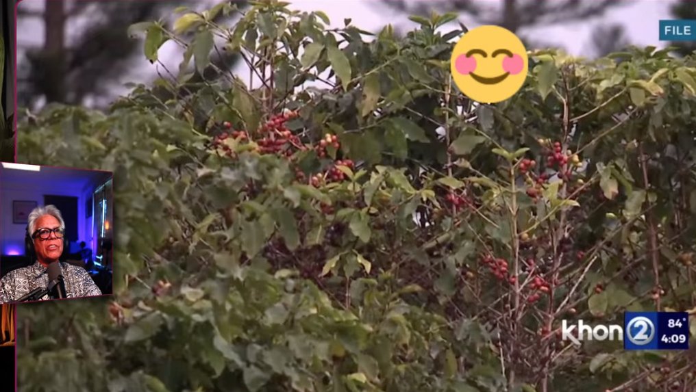 Andy Bumatai tweet media