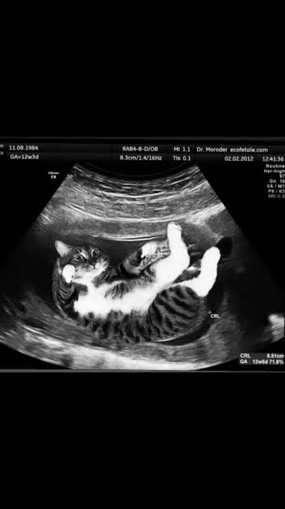 J'attends l'appart mais sachez que dans quelques mois...